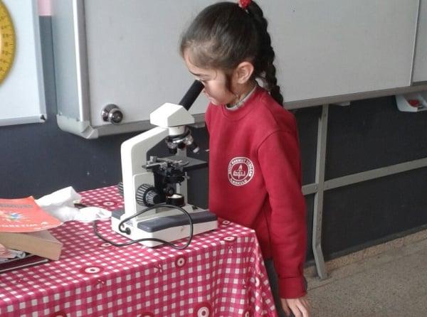 Mikroskopla İnceleme